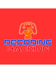 Decoding Hacking Hoodie